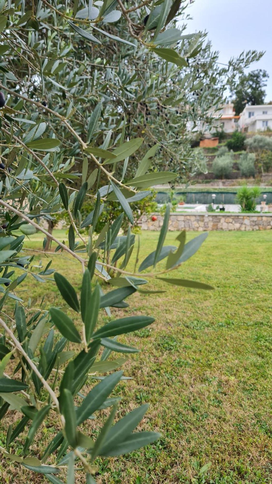 Hotel La Hacienda Ulcinj Zewnętrze zdjęcie